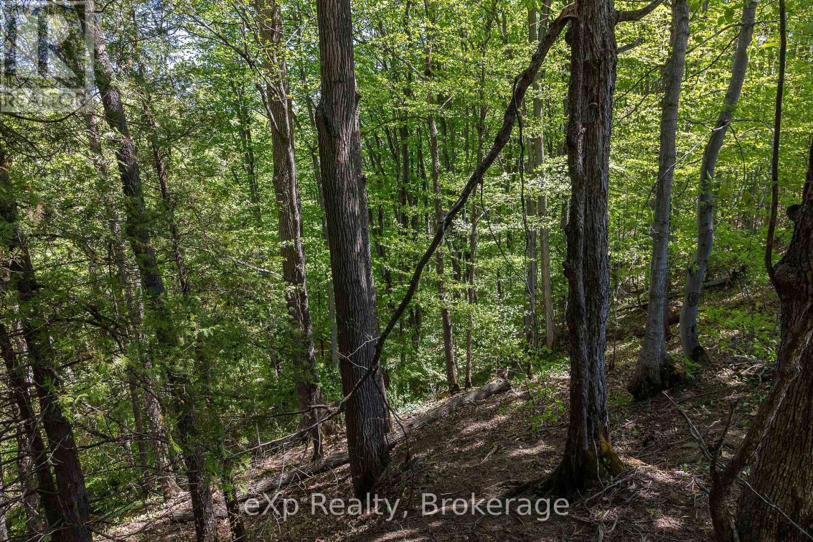 157659 7Th Line, Meaford, ON