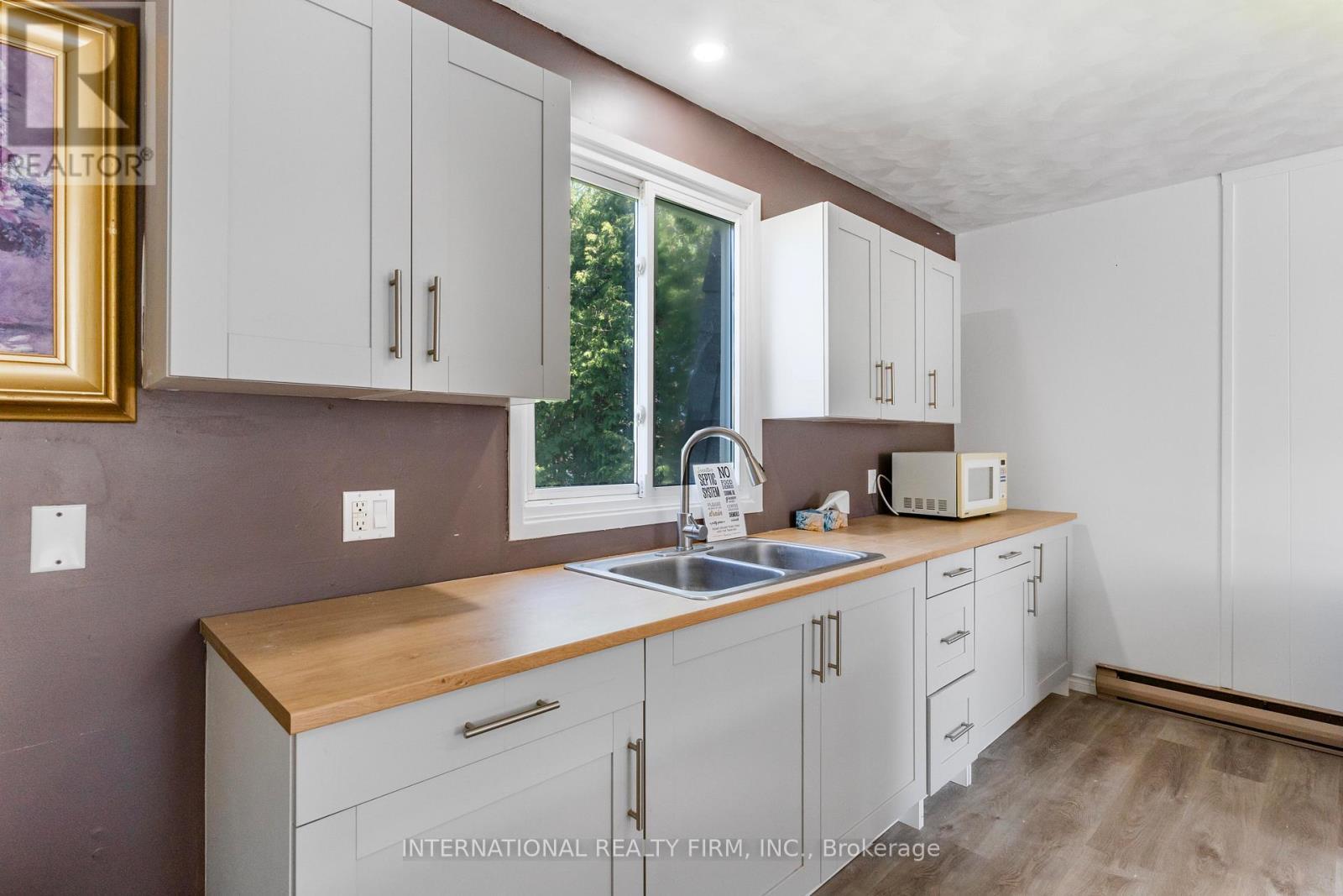 100 O'Reilly Lane, Kawartha Lakes, ON - Indoor Photo Showing Kitchen With Double Sink