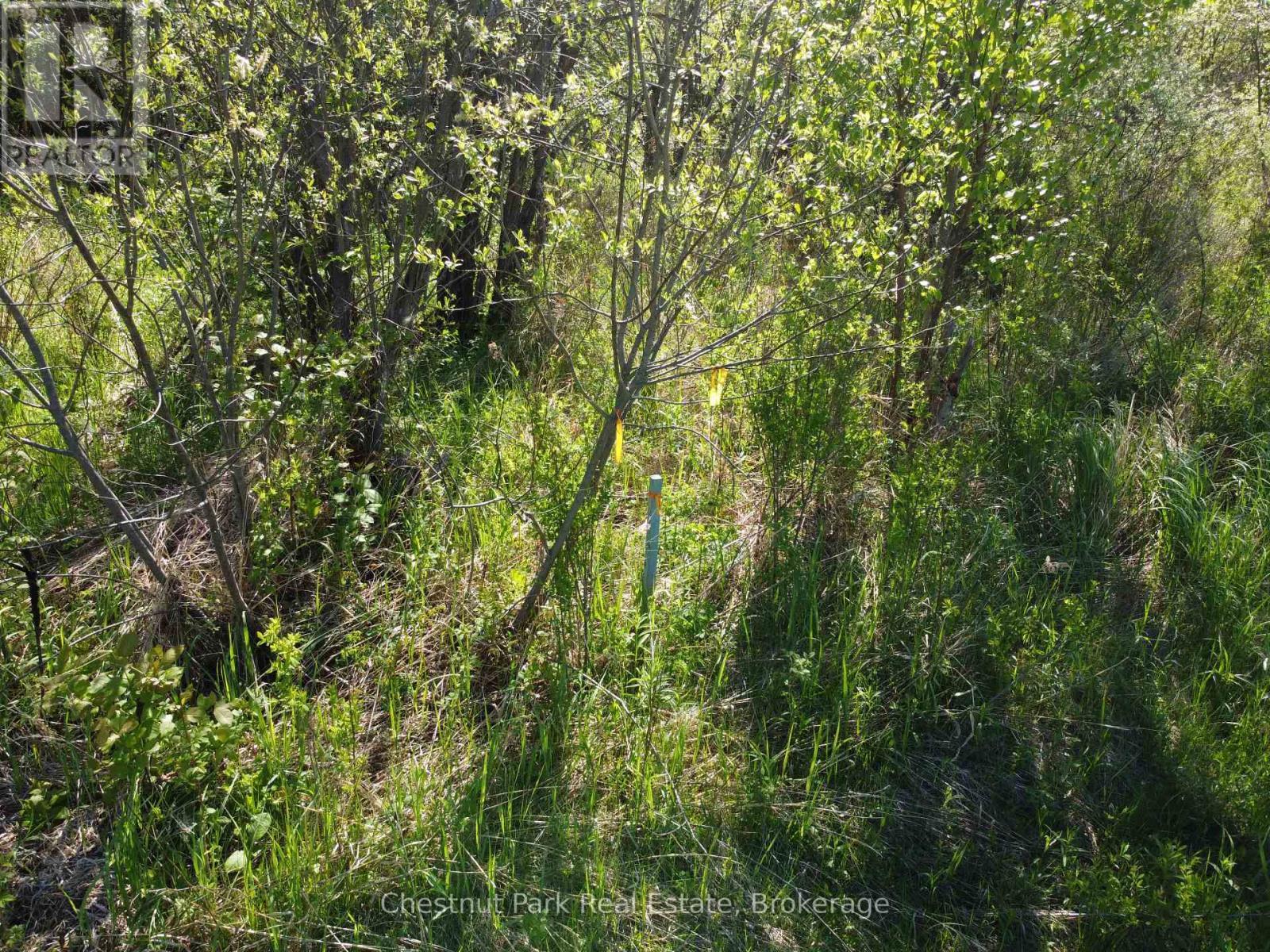 Property Stakes - Con 13, Pt Lot 21, Part 1 Golf Course Road, Chisholm, ON