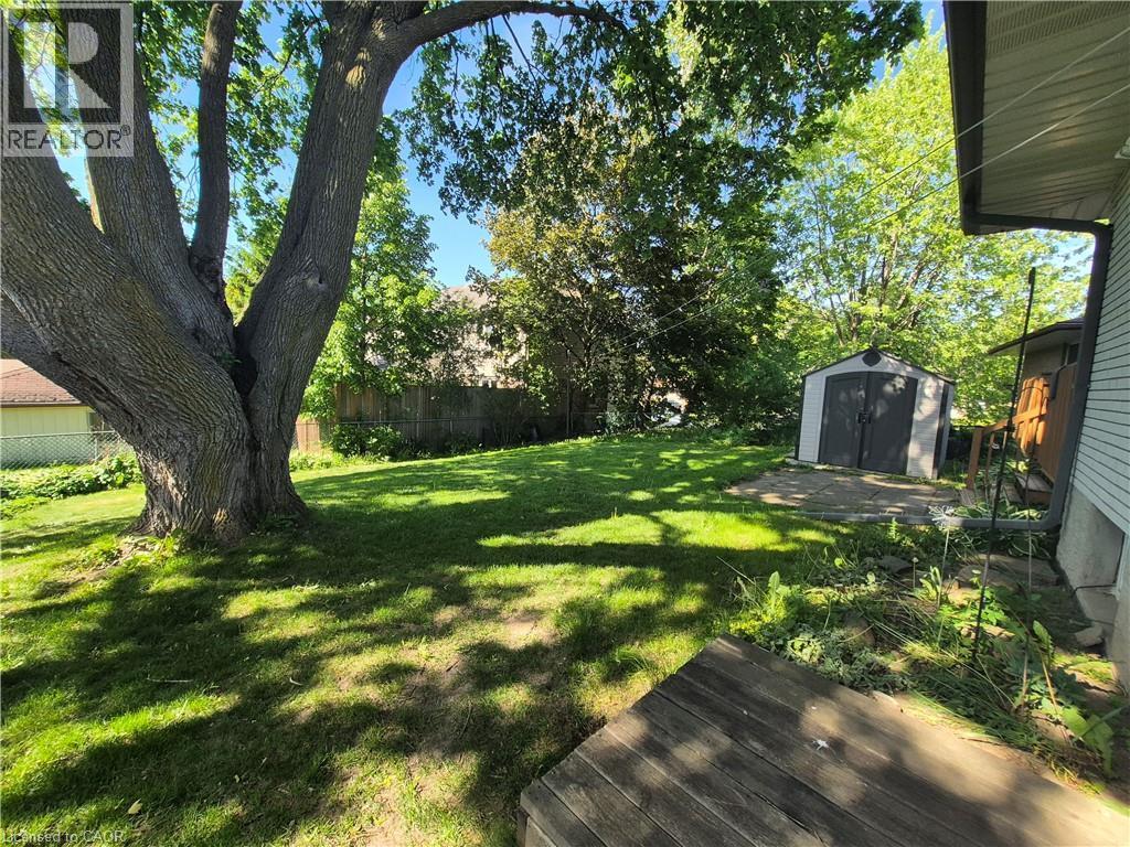 Spacious backyard featuring a substantial tree, a separate storage shed, a concrete patio area, and a wooden deck platform - 11 Duncairn Avenue, Kitchener, ON