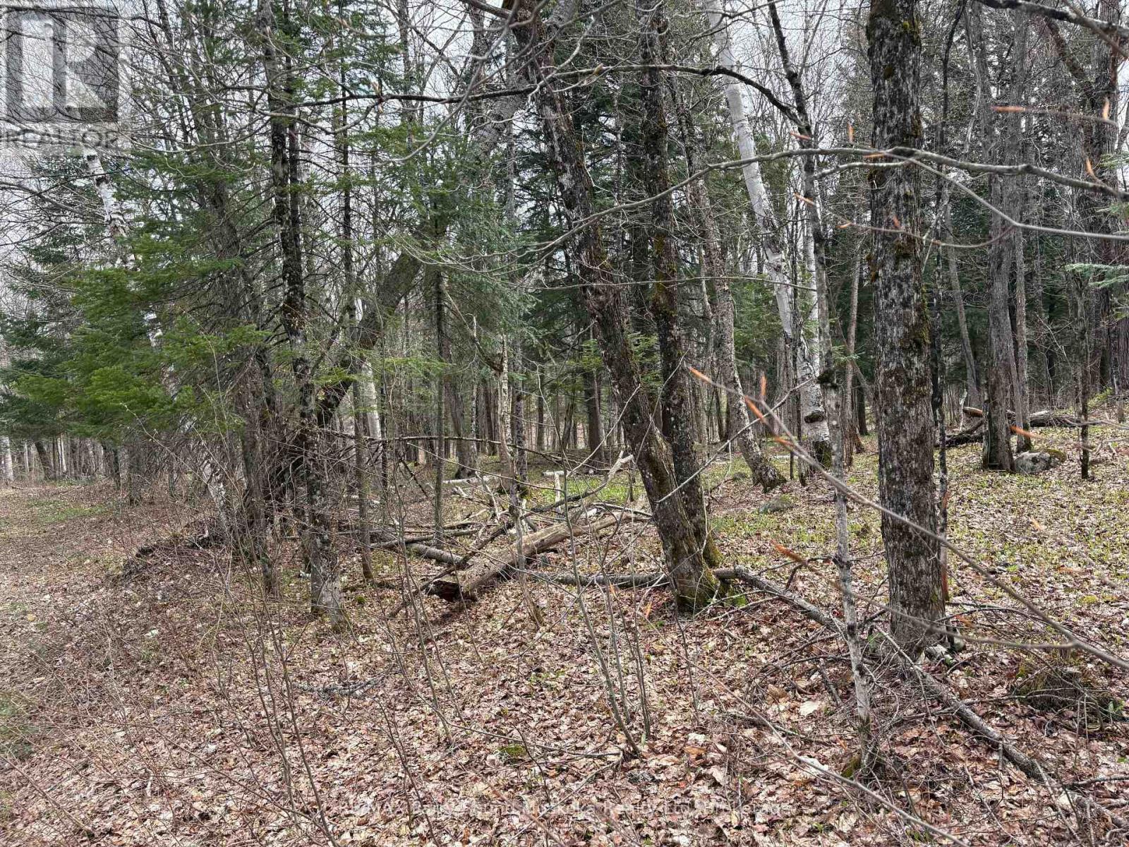 0 Ahmic Lake Road, Magnetawan (Spence), ON