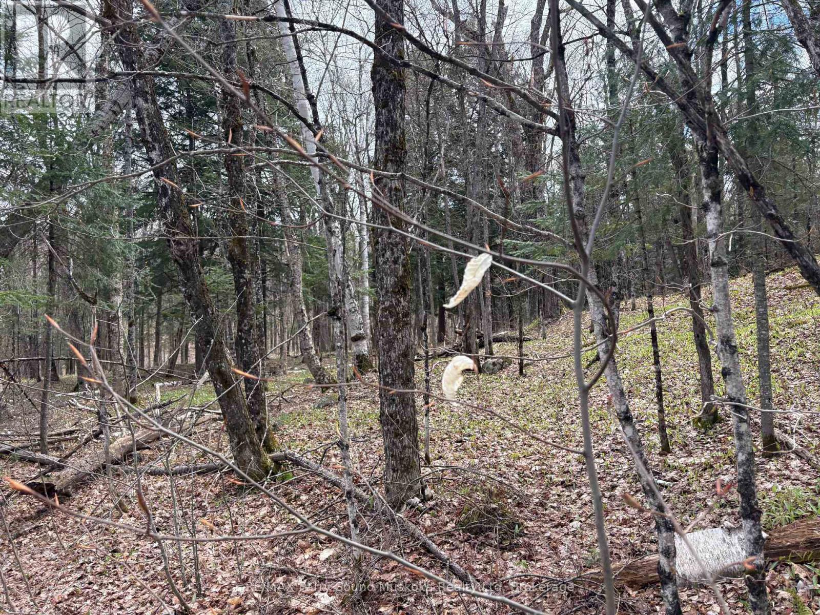 0 Ahmic Lake Road, Magnetawan (Spence), ON