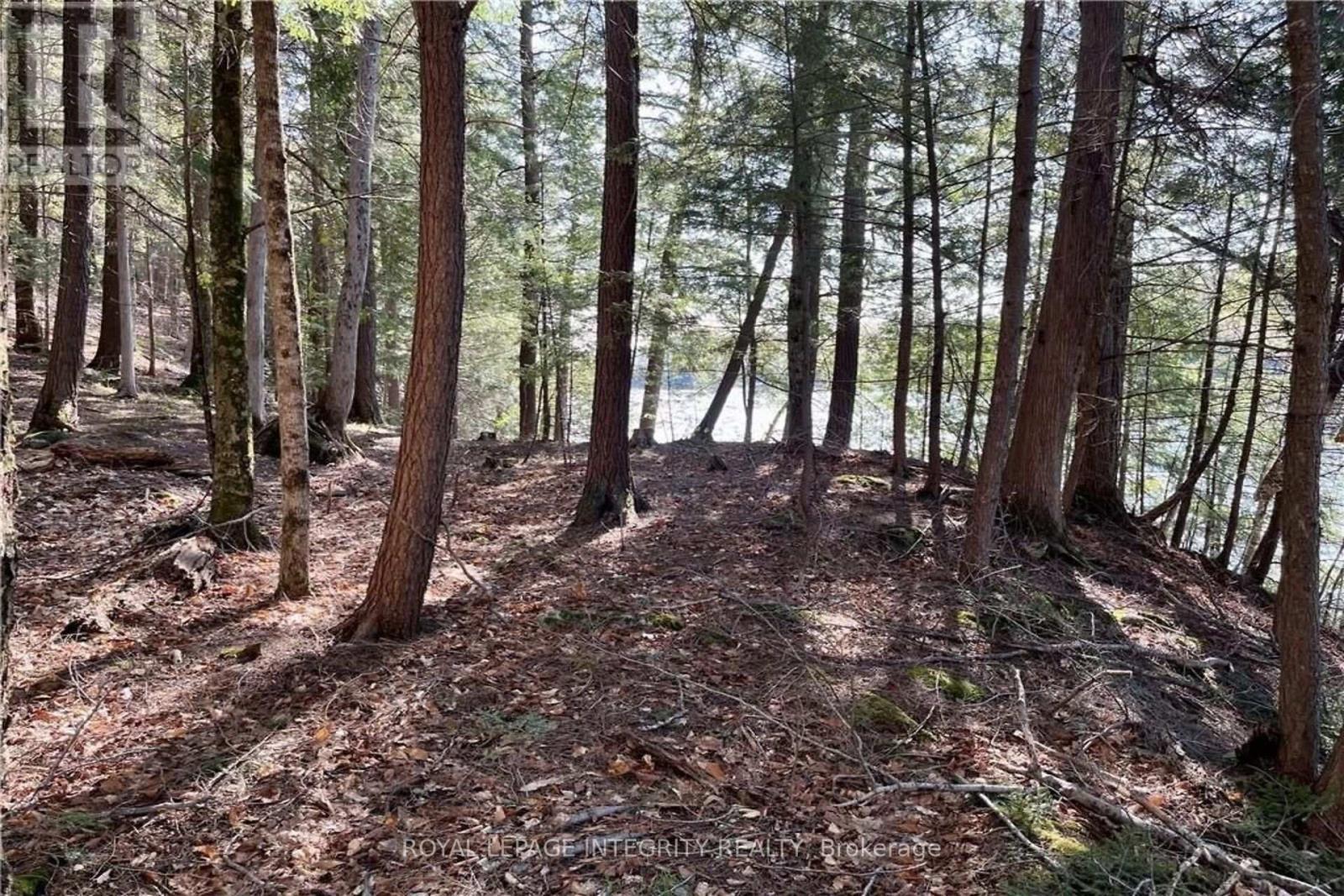 131 Shady Maple Road, Mcnab/Braeside, ON