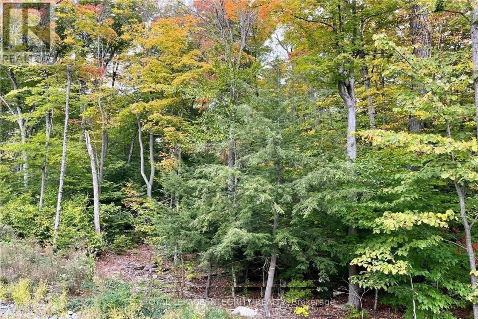 131 Shady Maple Road, Mcnab/Braeside, ON