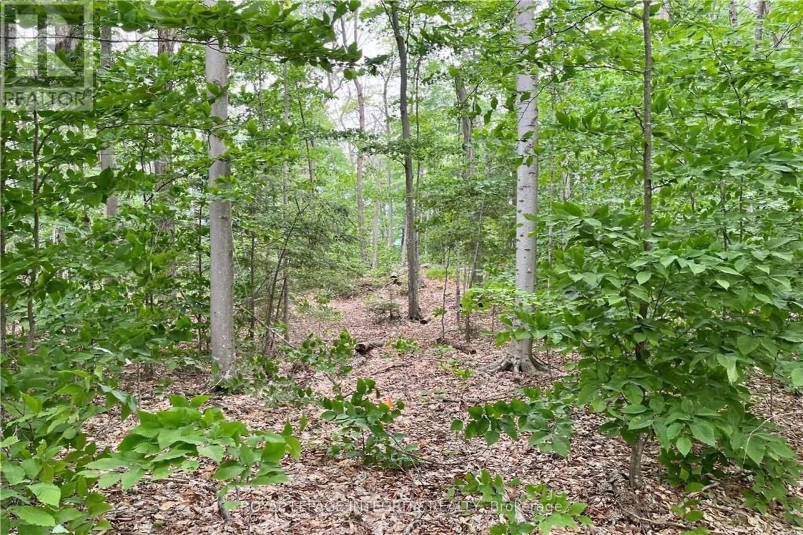 131 Shady Maple Road, Mcnab/Braeside, ON
