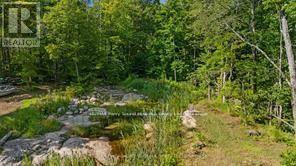 288 Rankin Lake Road, Seguin, ON