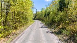 288 Rankin Lake Road, Seguin, ON