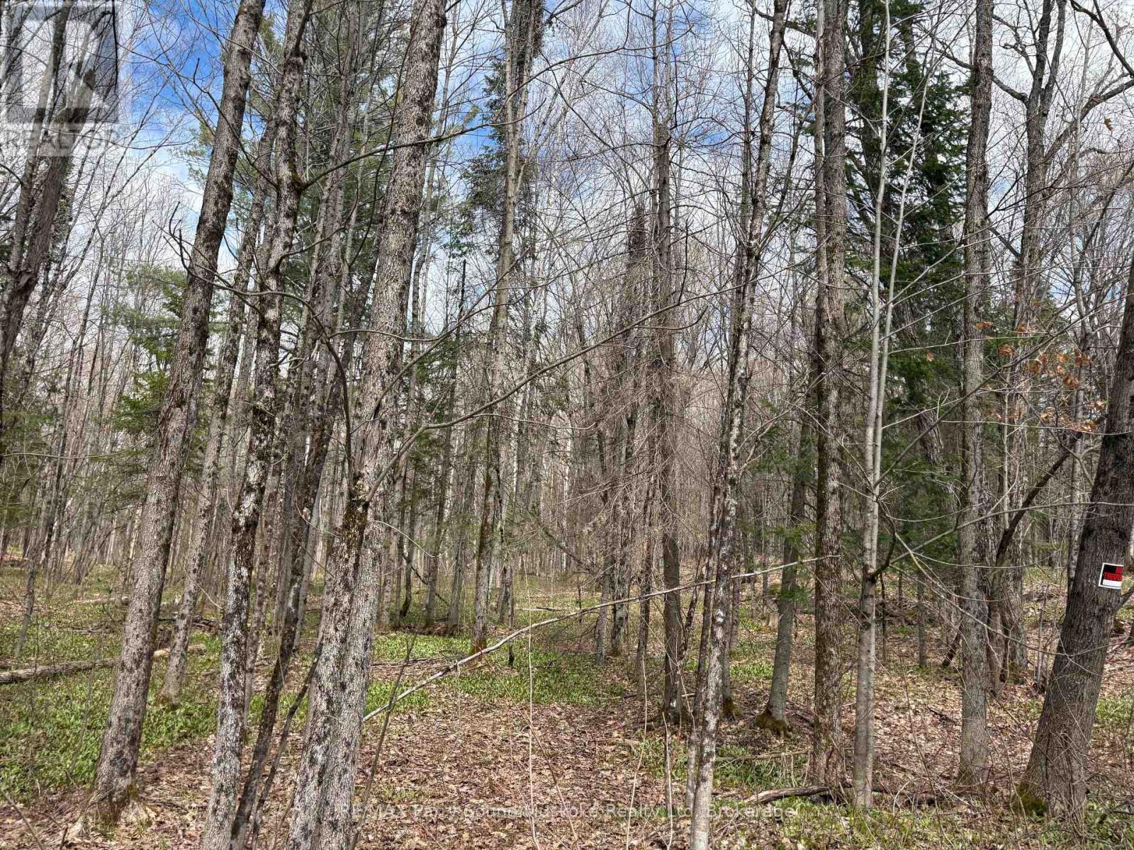 0 Dauncey Road, Magnetawan (Spence), ON