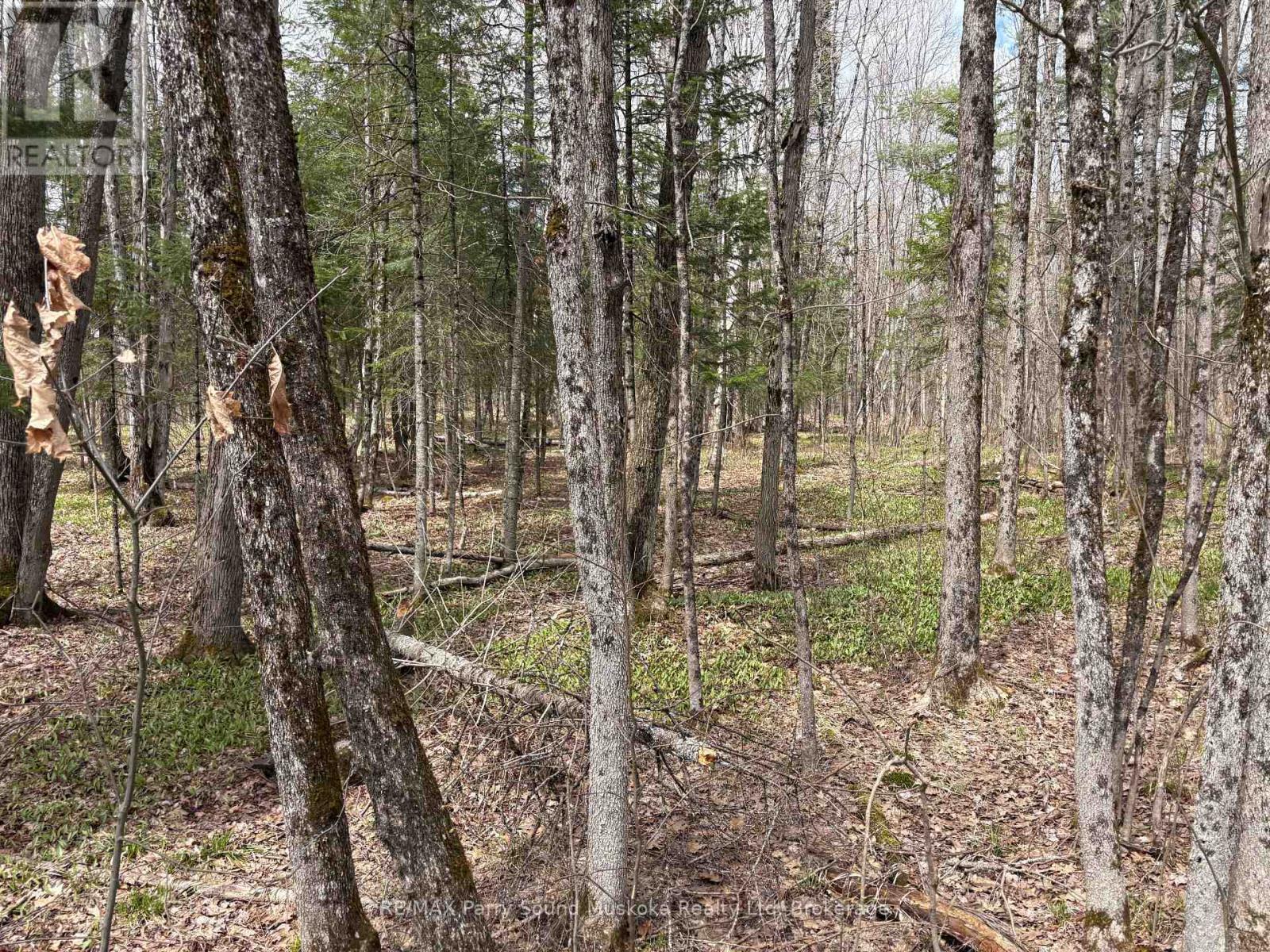 0 Dauncey Road, Magnetawan (Spence), ON