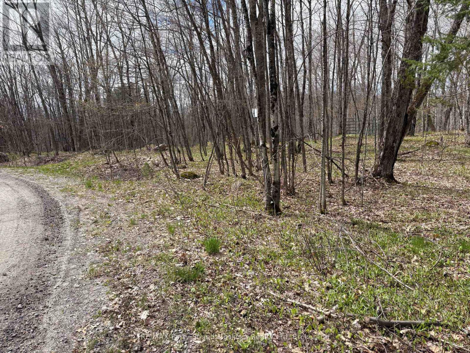 0 Dauncey Road, Magnetawan (Spence), ON