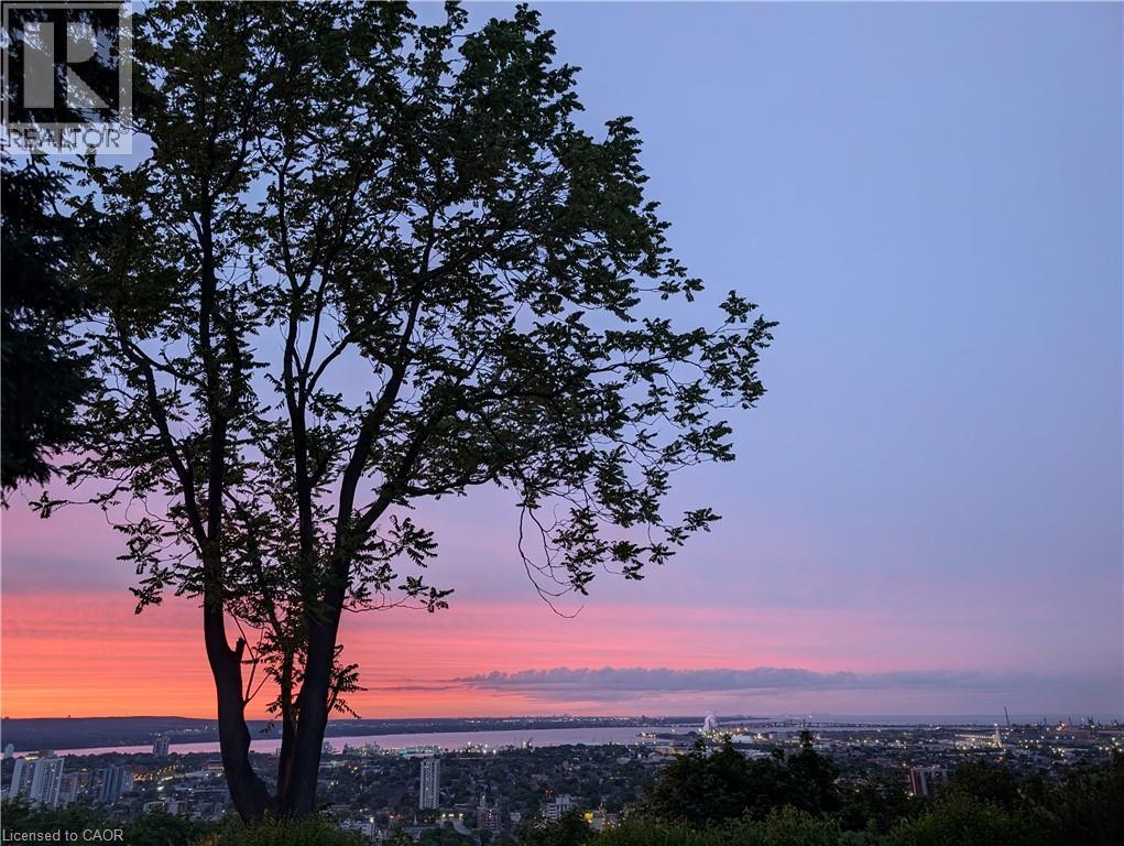Back yard Sunset 1 - 47 Mountain Park Avenue, Hamilton, ON - Outdoor With View