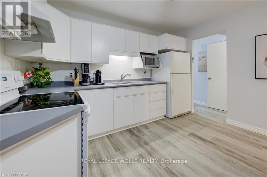 19 Hillbrook Crescent, Kitchener, ON - Indoor Photo Showing Kitchen With Double Sink