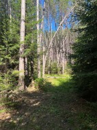 Terre à bois -