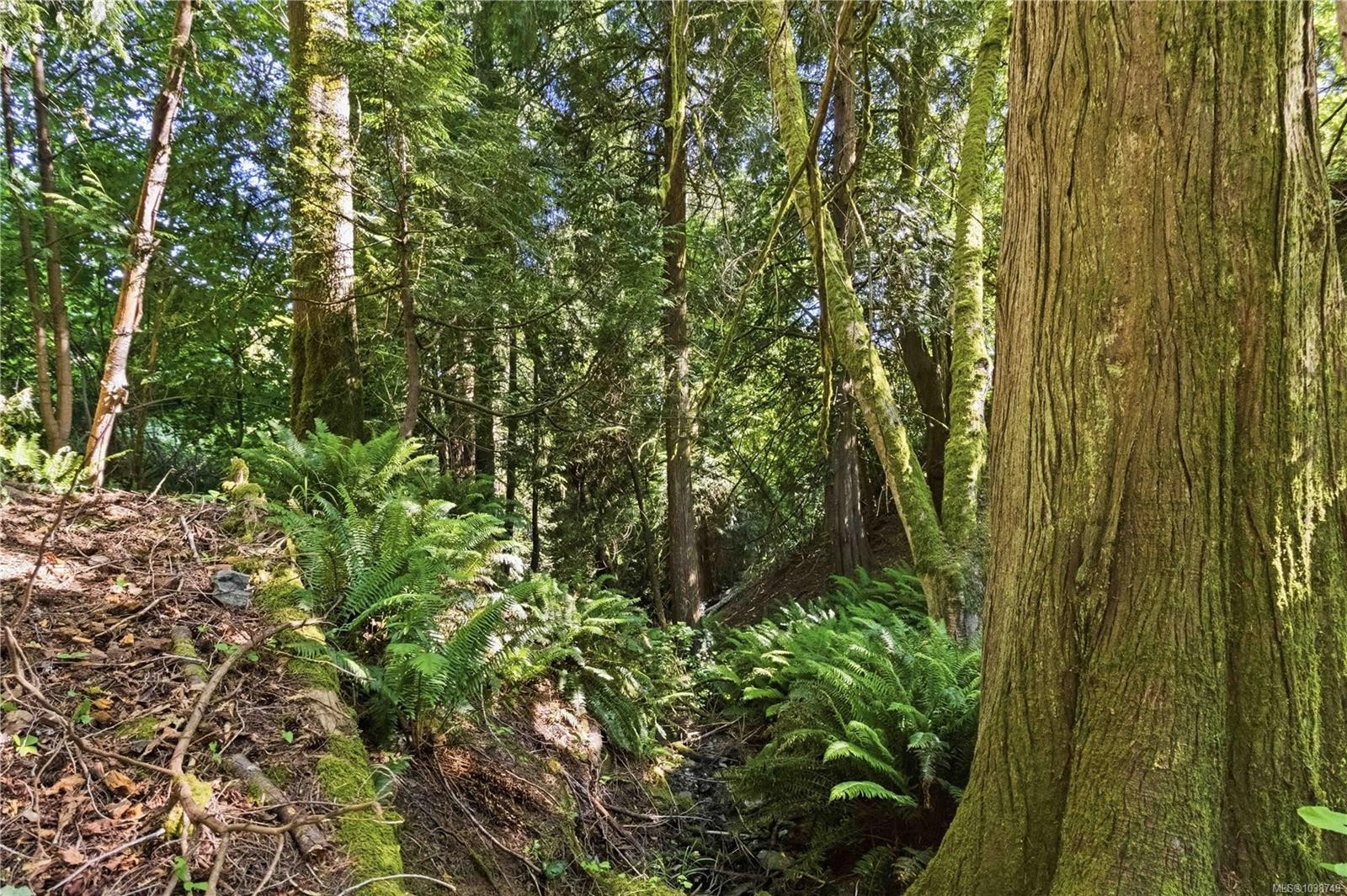 3002 Manzer Rd, Sooke, BC