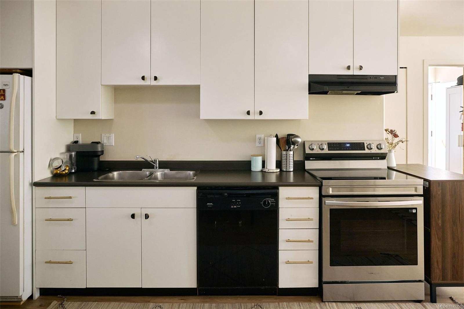 #3-407 William St, Victoria, BC