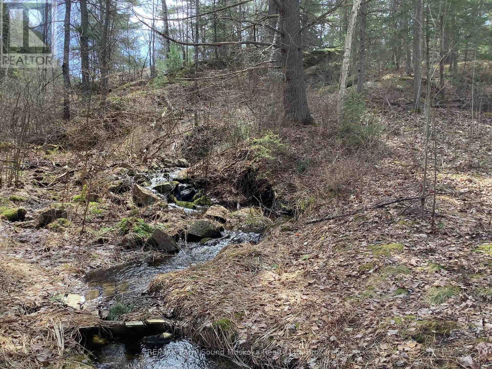 Creek at edge of property - 410 Ranger, Parry Sound Remote Area (Blair), ON