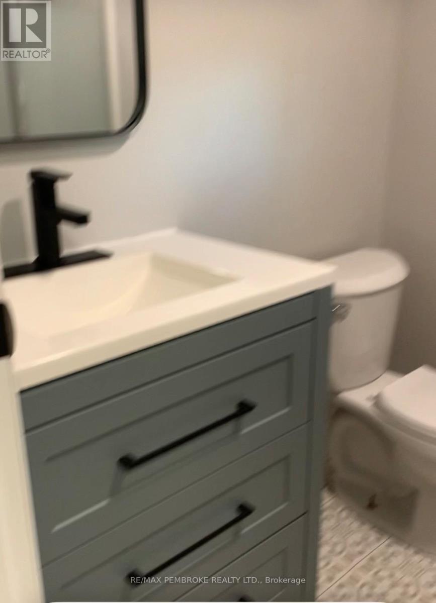 updated granny suite bathroom - 410 Green Lake Road, North Algona Wilberforce, ON