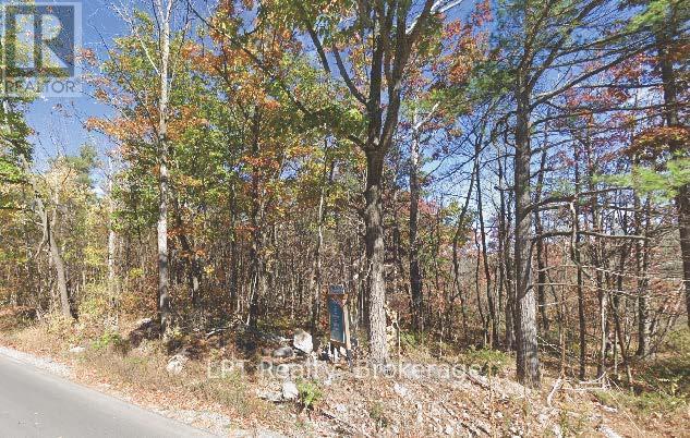 Pt Lot 8 Marble Point Road, Marmora And Lake (Marmora Ward), ON