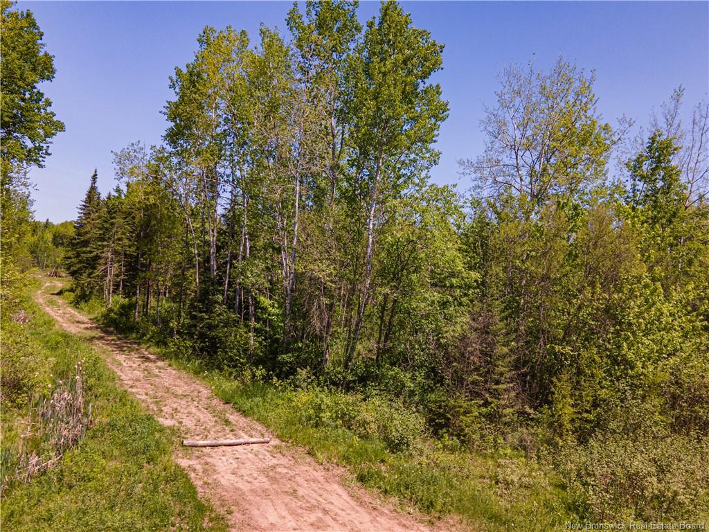 Lot Creek Rd, Berwick, NB