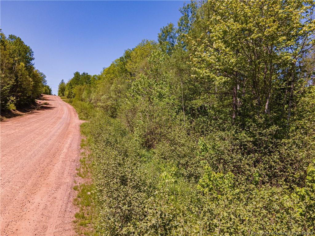Lot Creek Rd, Berwick, NB