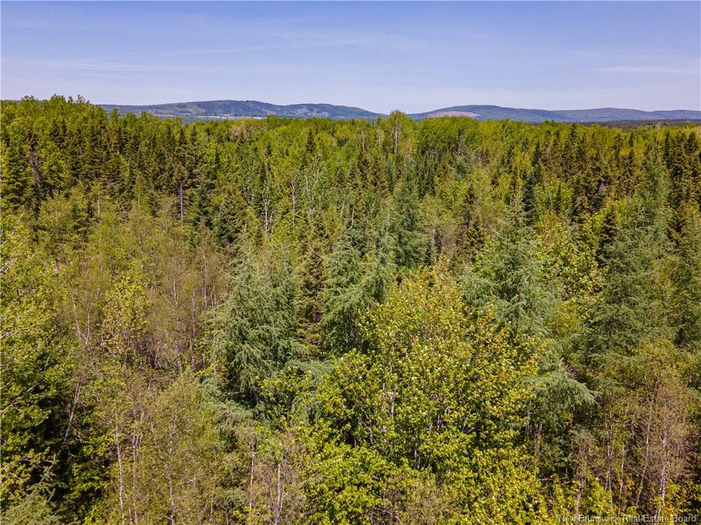 Lot Creek Rd, Berwick, NB