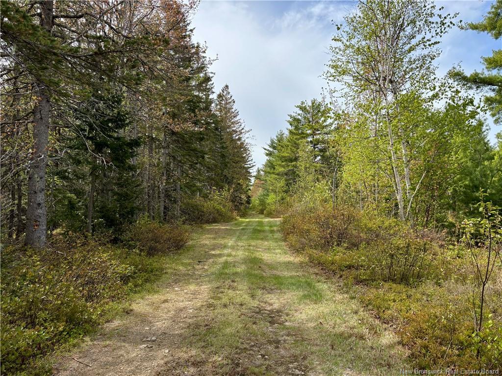 1892 Route 460, Tabusintac, NB