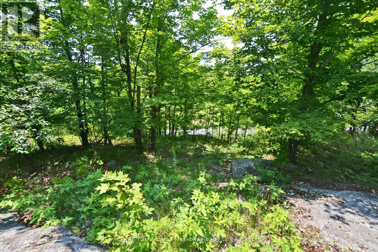 Private Treed Setting - Good Building Site - 19 Turtle Lane, Mckellar, ON