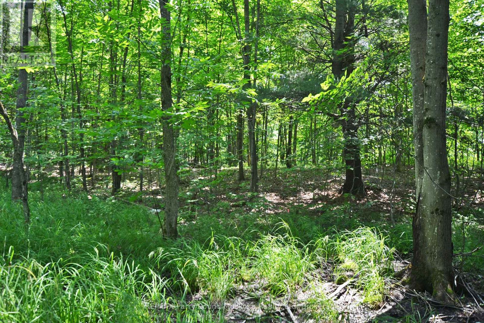 19 Turtle Lane, Mckellar, ON