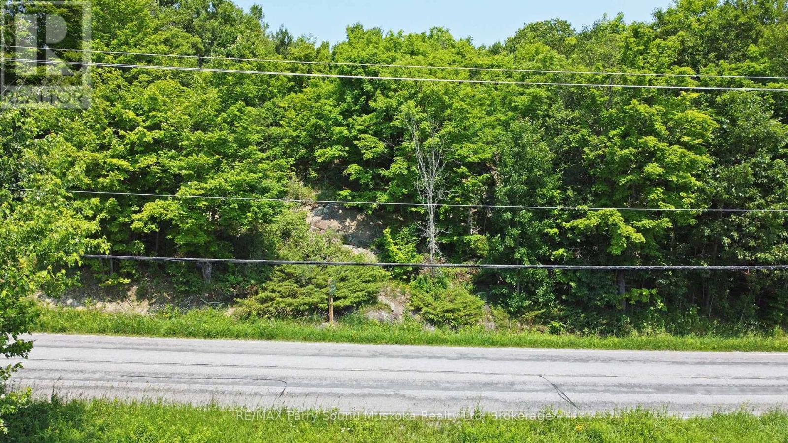 Year round road access, hydro nearby - 19 Turtle Lane, Mckellar, ON