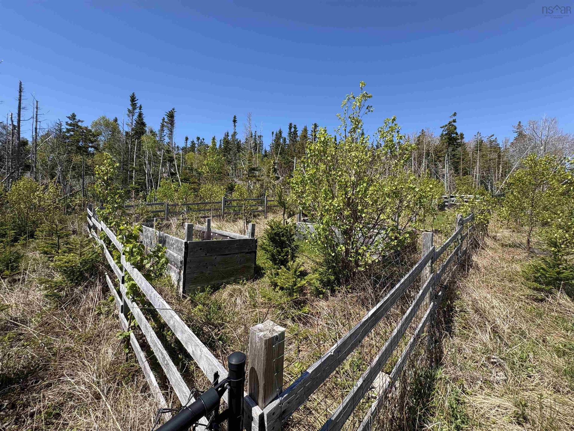 122 Peter Sosna Drive, Macnabs Cove, NS - Outdoor With View