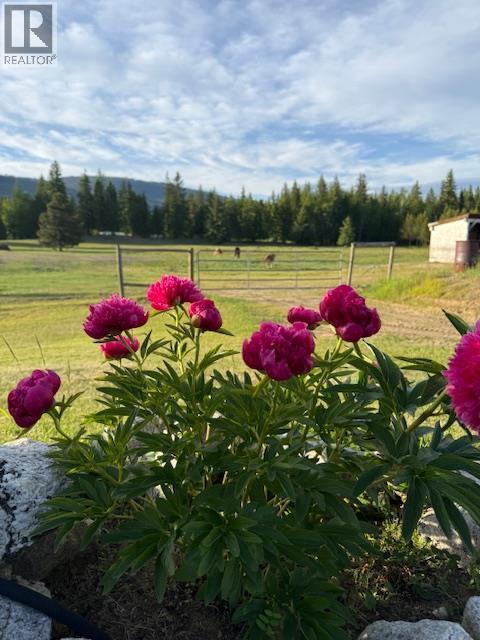 134 Wadlegger Road, Clearwater, BC
