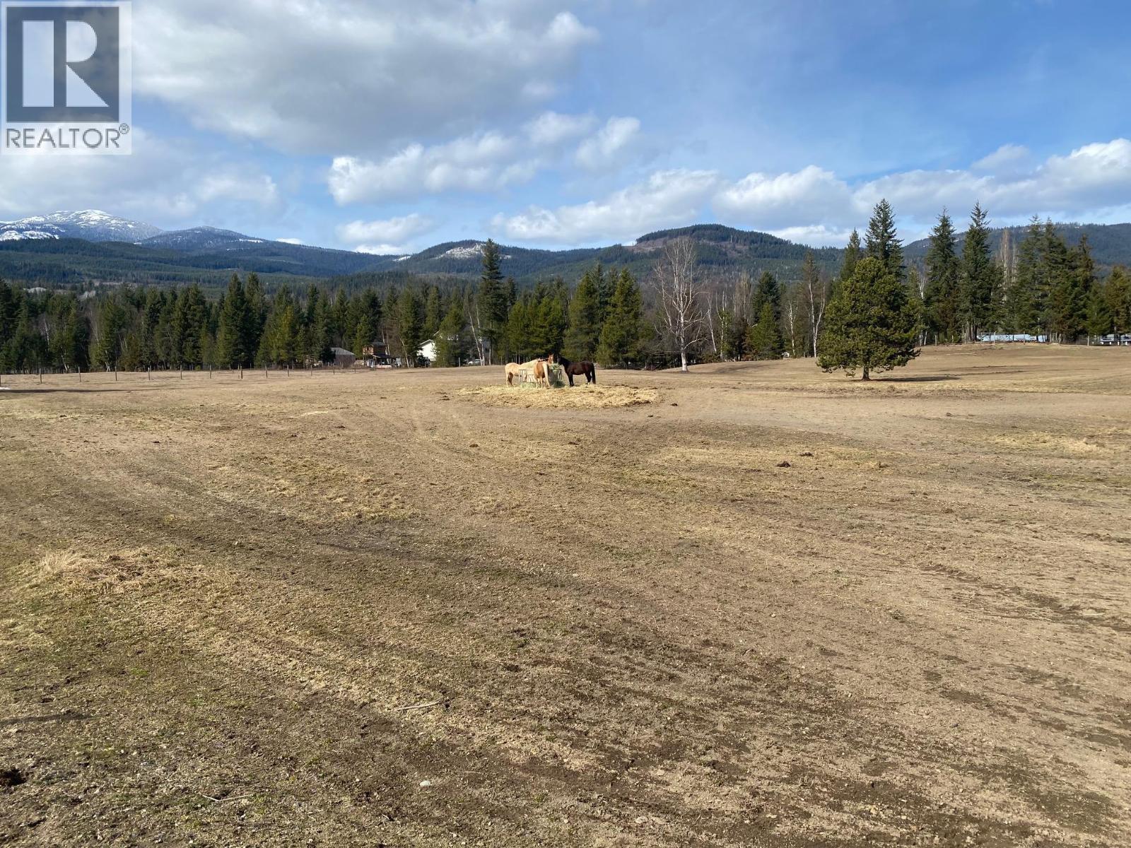 134 Wadlegger Road, Clearwater, BC