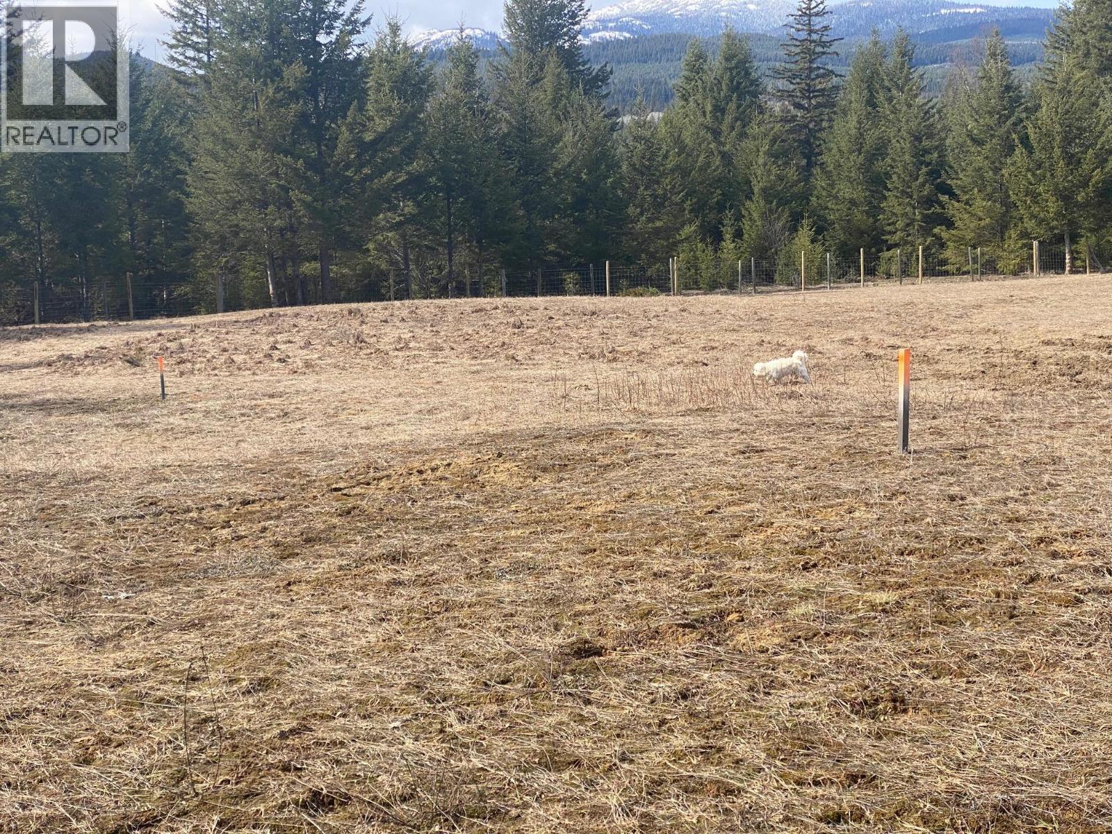 134 Wadlegger Road, Clearwater, BC