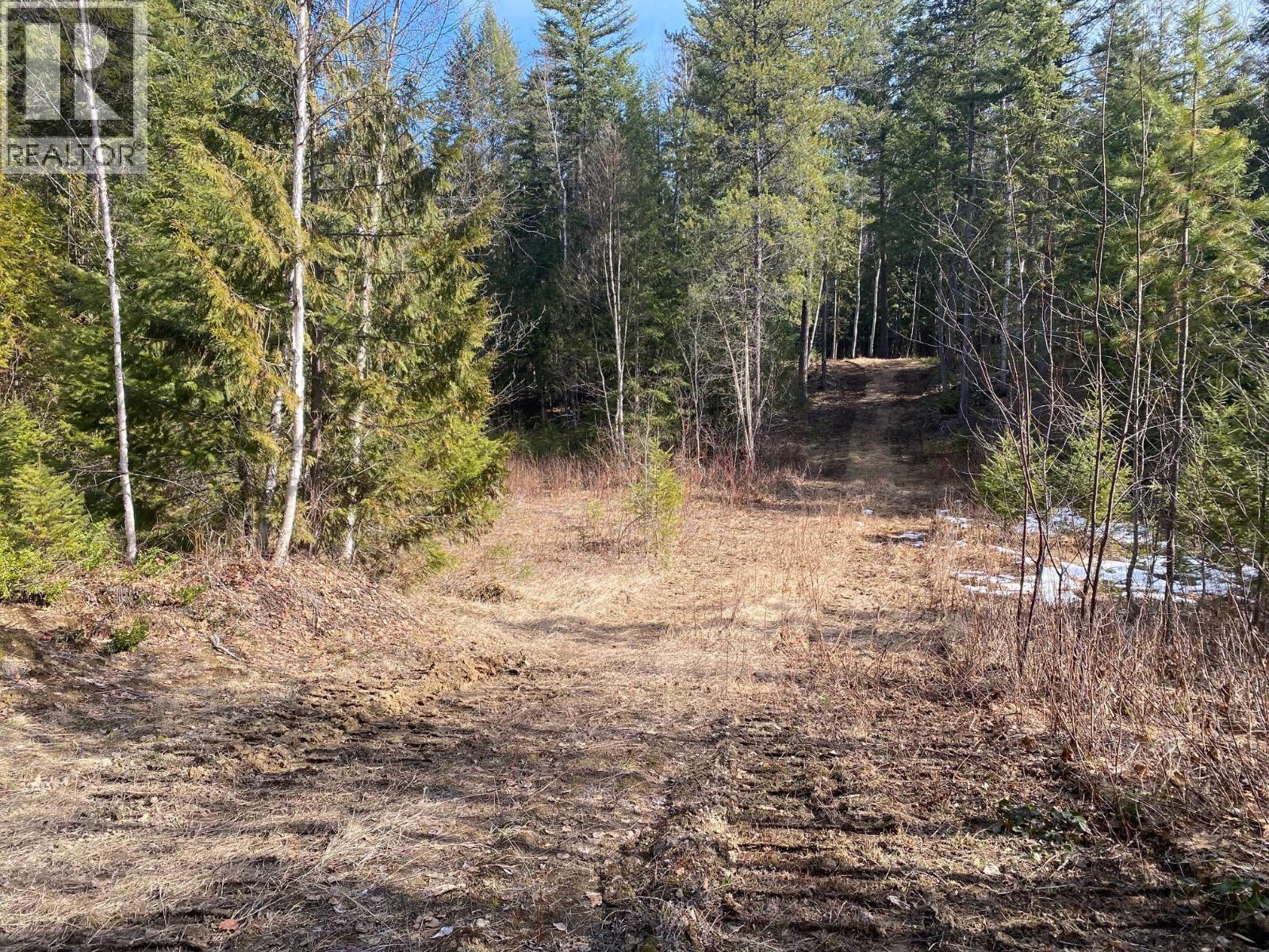 134 Wadlegger Road, Clearwater, BC