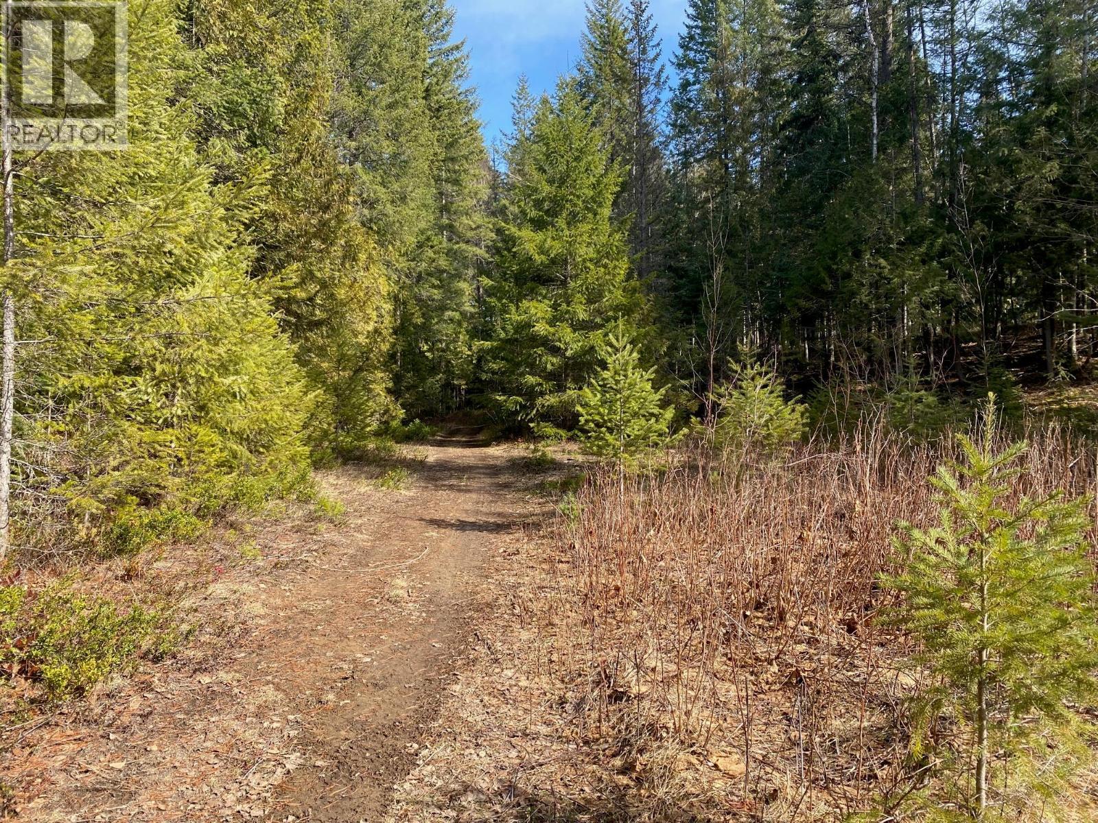 134 Wadlegger Road, Clearwater, BC