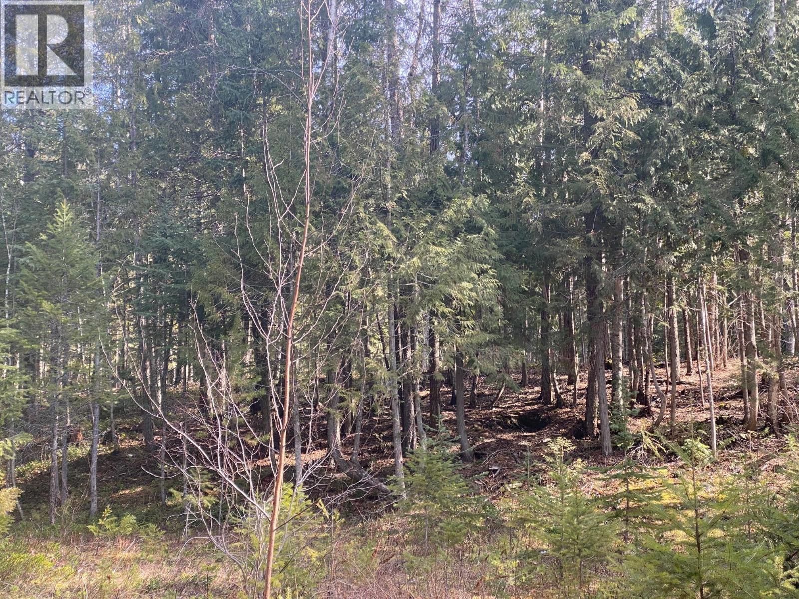 134 Wadlegger Road, Clearwater, BC