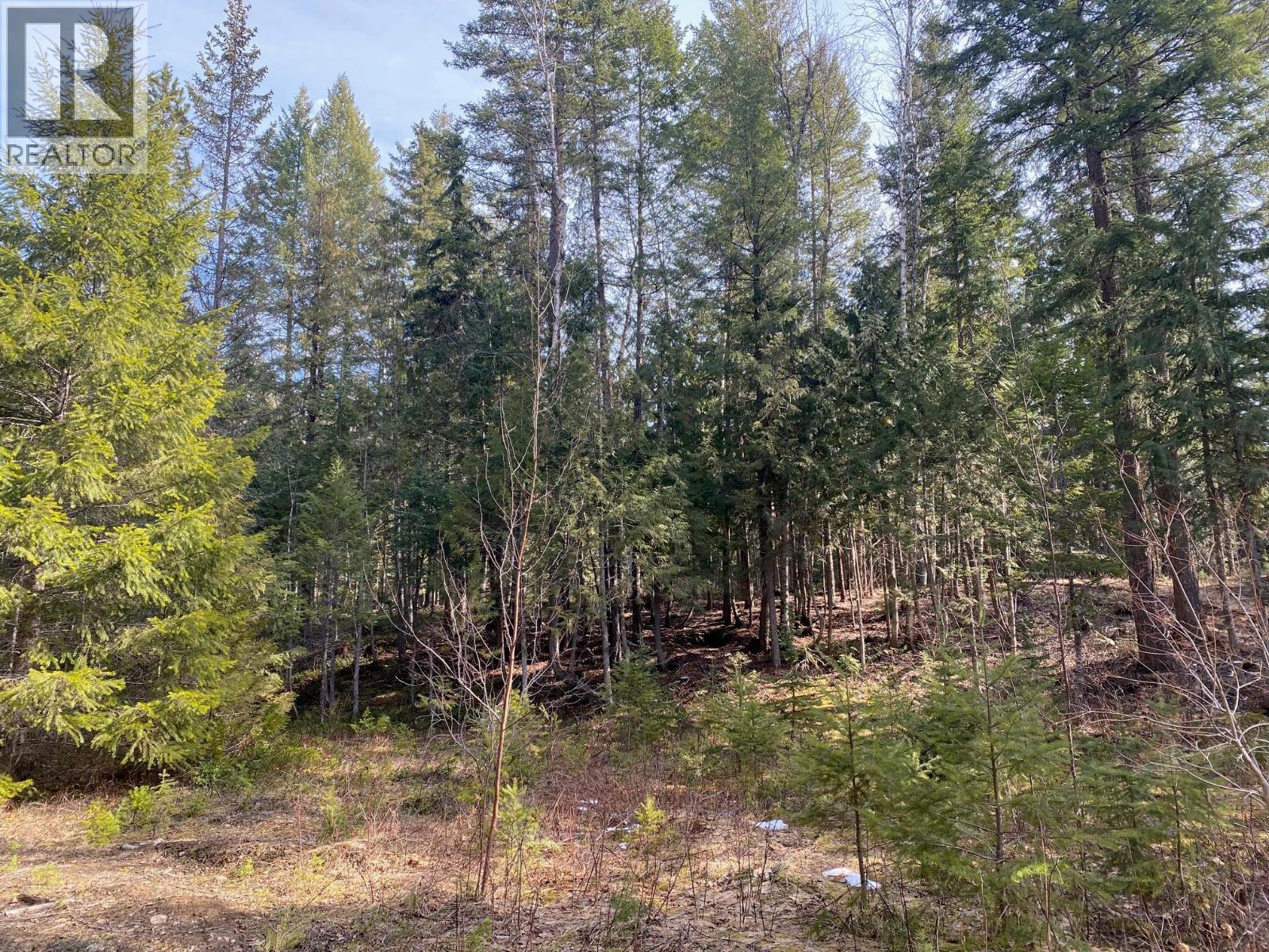134 Wadlegger Road, Clearwater, BC