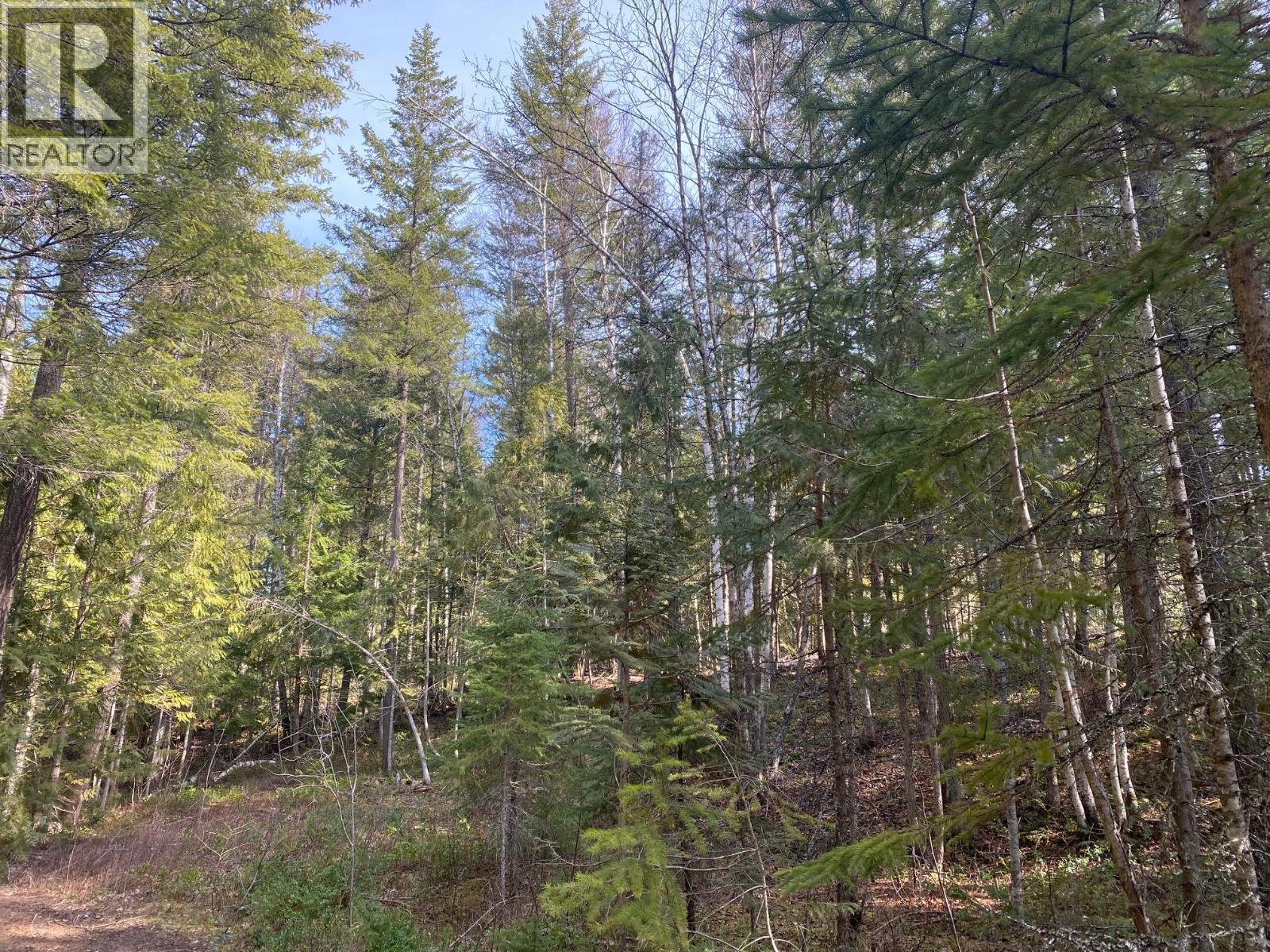 134 Wadlegger Road, Clearwater, BC