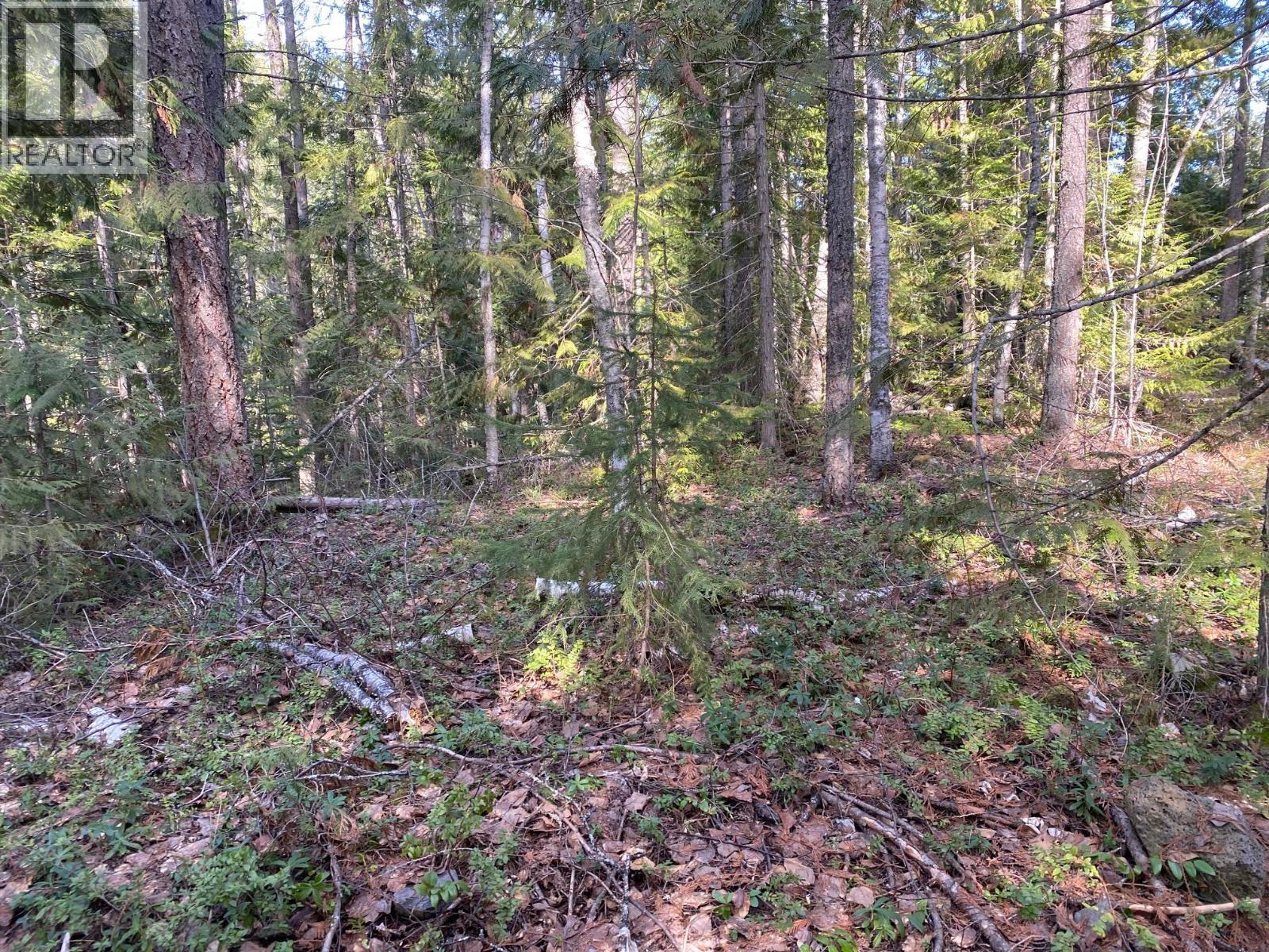134 Wadlegger Road, Clearwater, BC