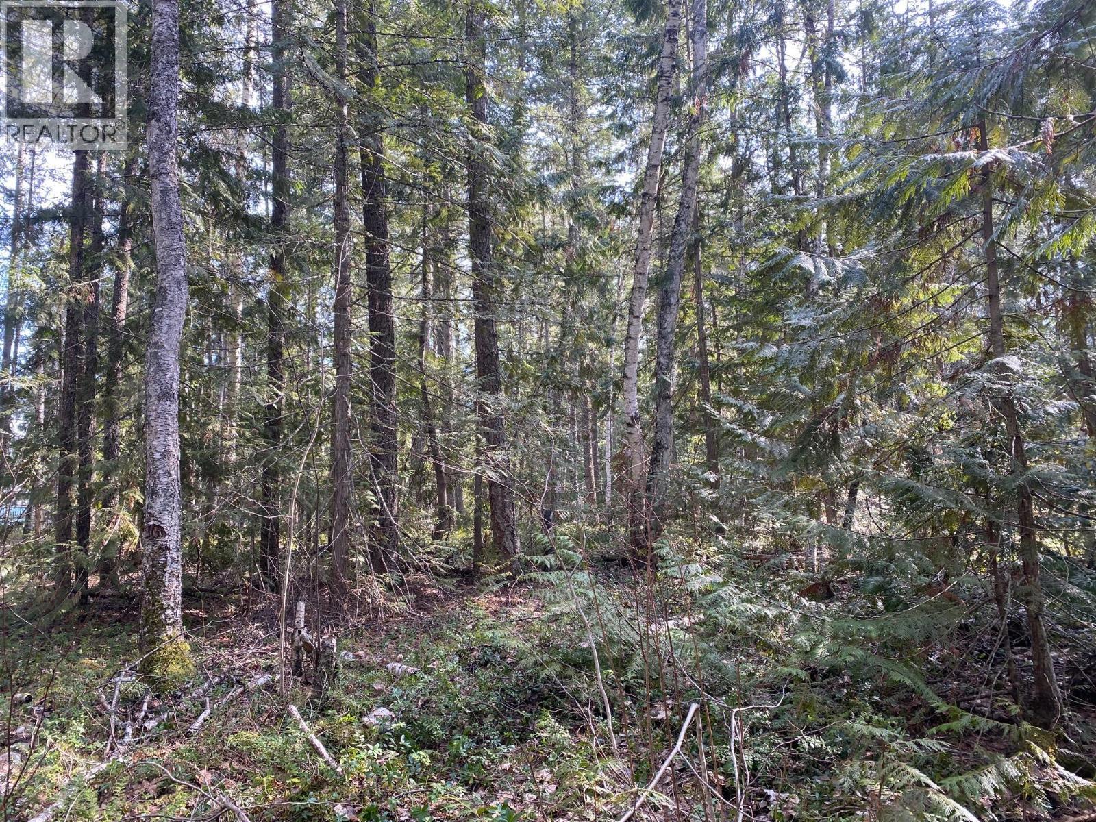 134 Wadlegger Road, Clearwater, BC