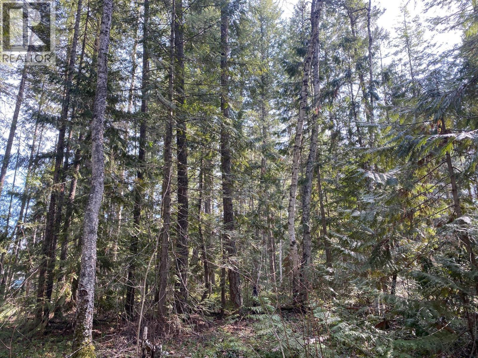 134 Wadlegger Road, Clearwater, BC