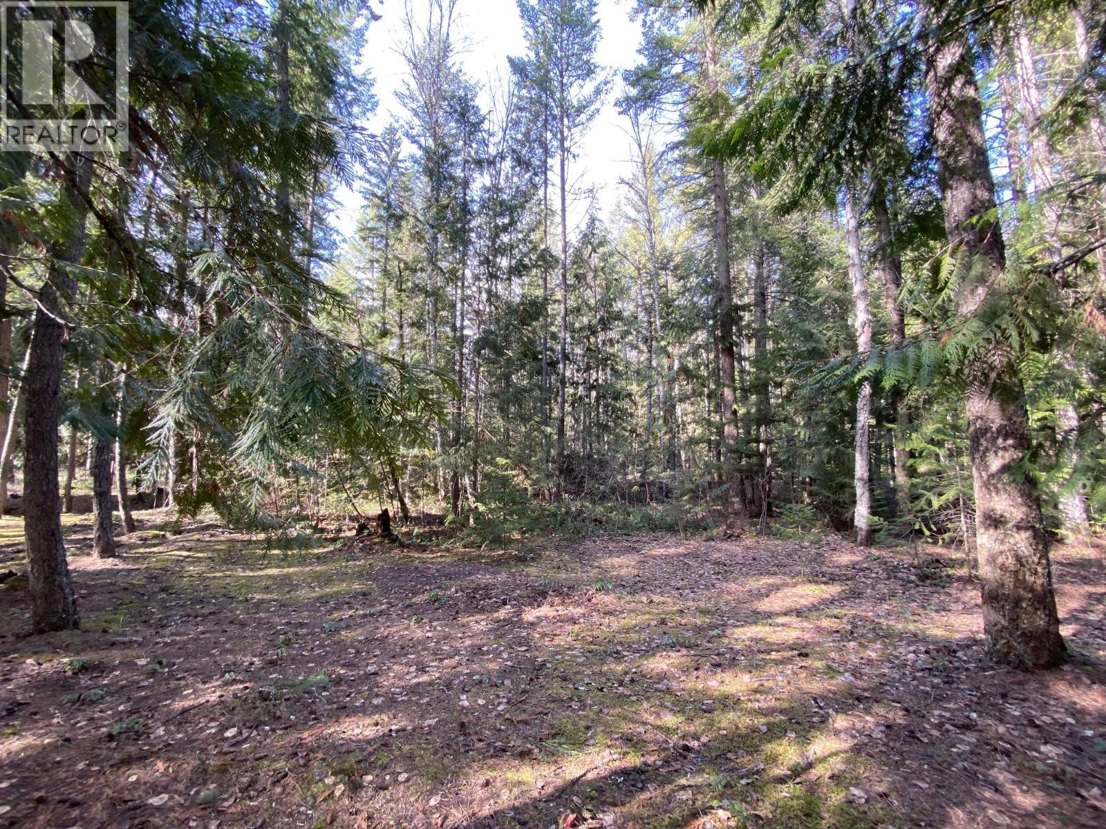 134 Wadlegger Road, Clearwater, BC
