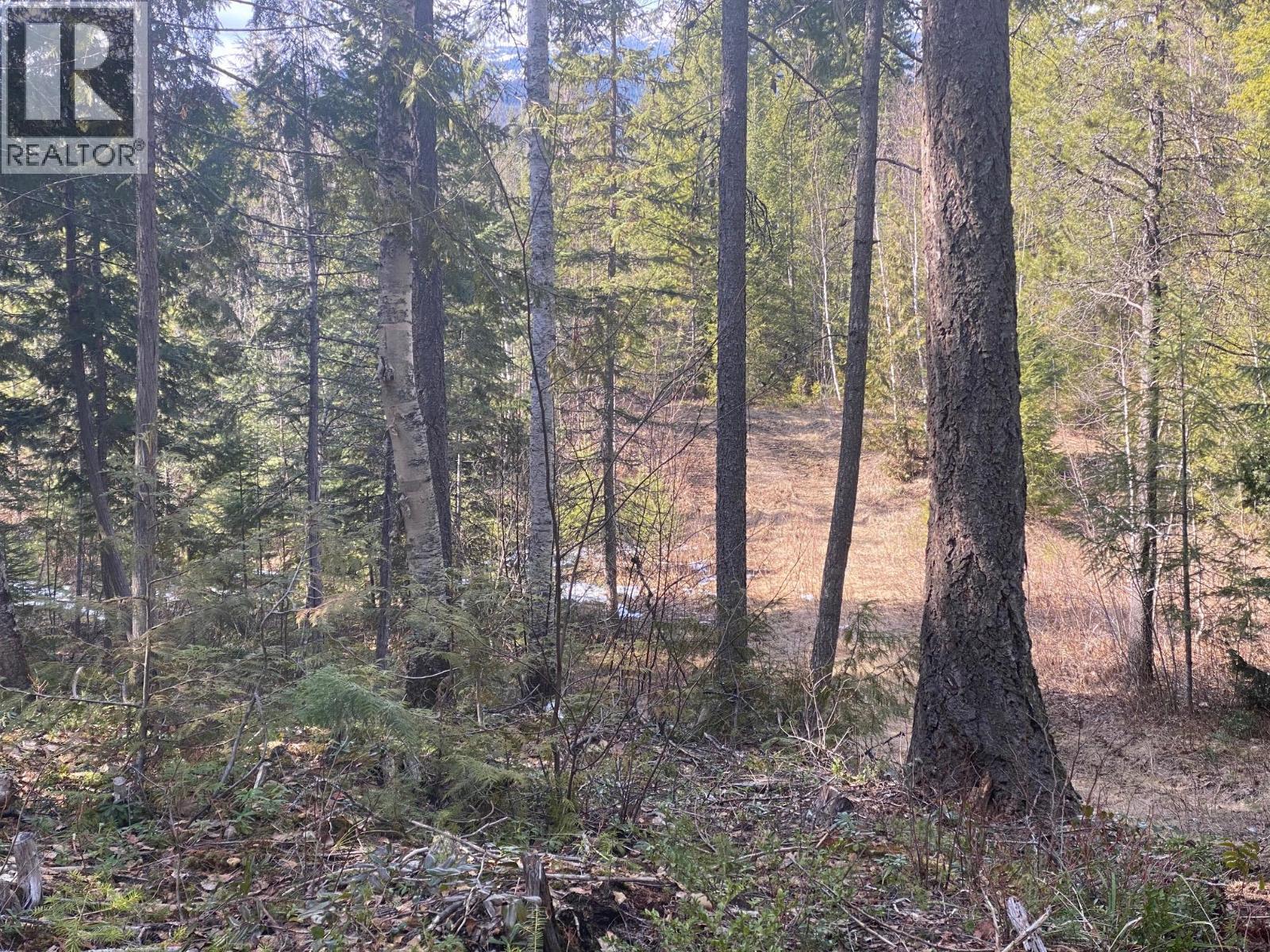134 Wadlegger Road, Clearwater, BC