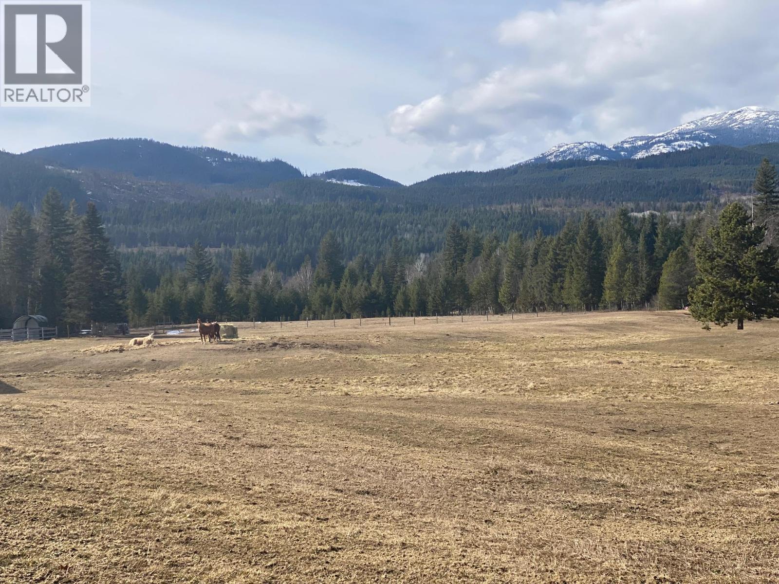 134 Wadlegger Road, Clearwater, BC