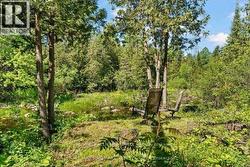 184 OLD PAKENHAM ROAD Ottawa, ON K0A 1X0