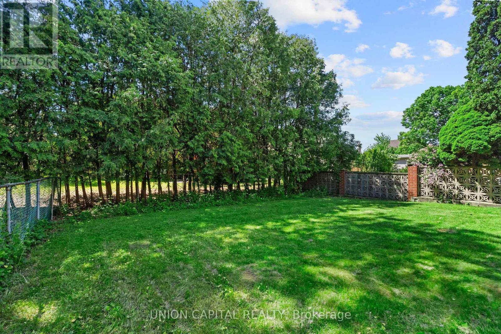 Private backyard framed by mature trees - 99 Abitibi Avenue, Toronto, ON