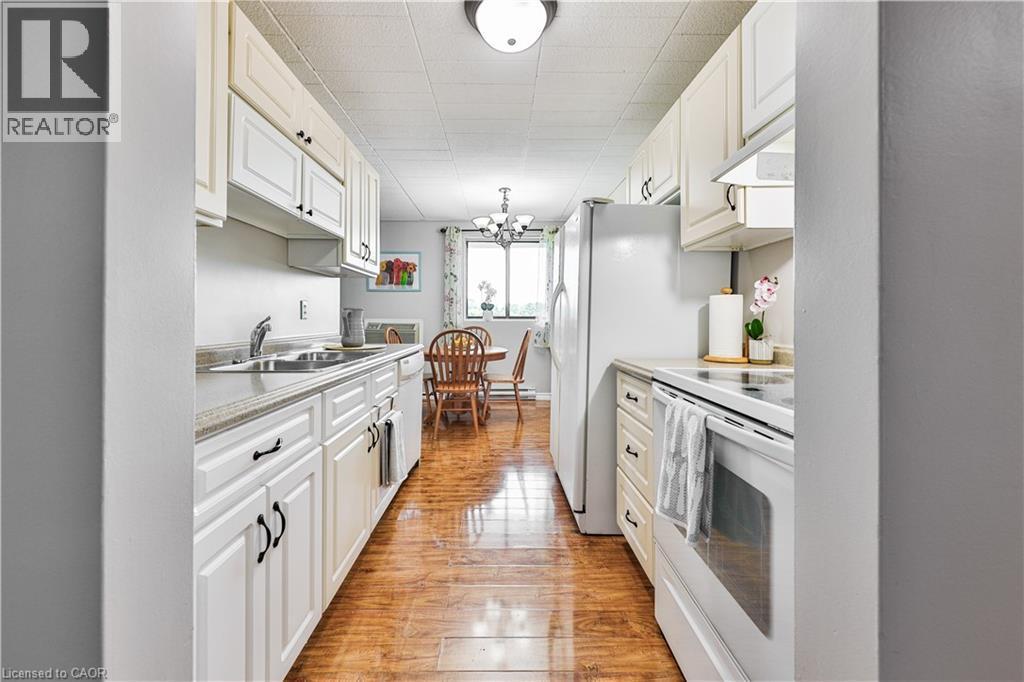 Galley kitchen featuring white cabinetry, light countertops, wood-finish flooring, and white appliances - 29 West Avenue, Kitchener, ON