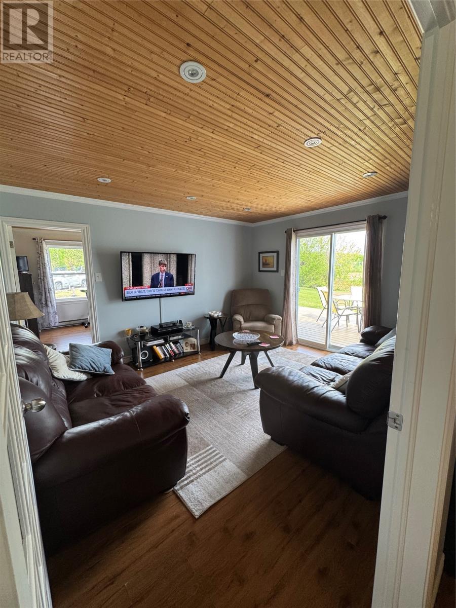 3 Joe'S Lake, Badger, NL