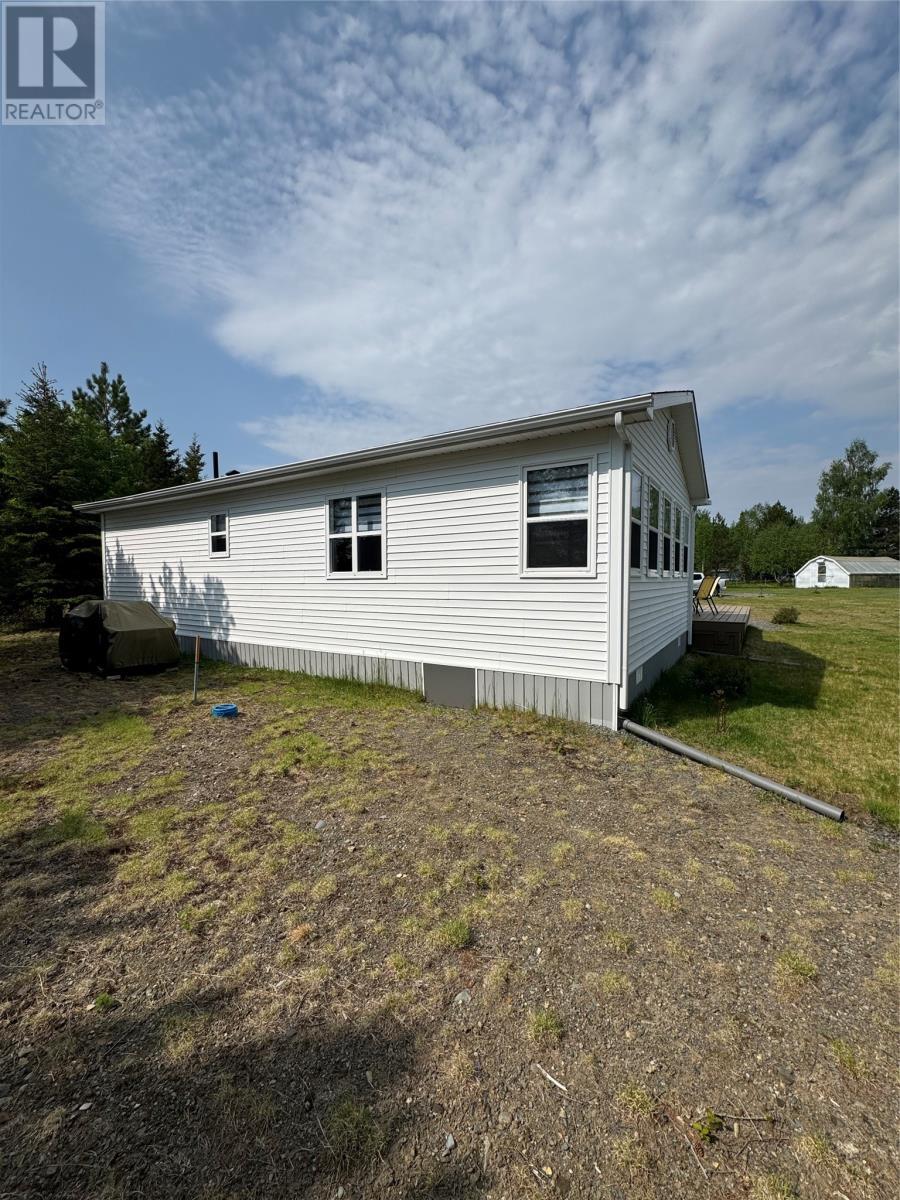 3 Joe'S Lake, Badger, NL