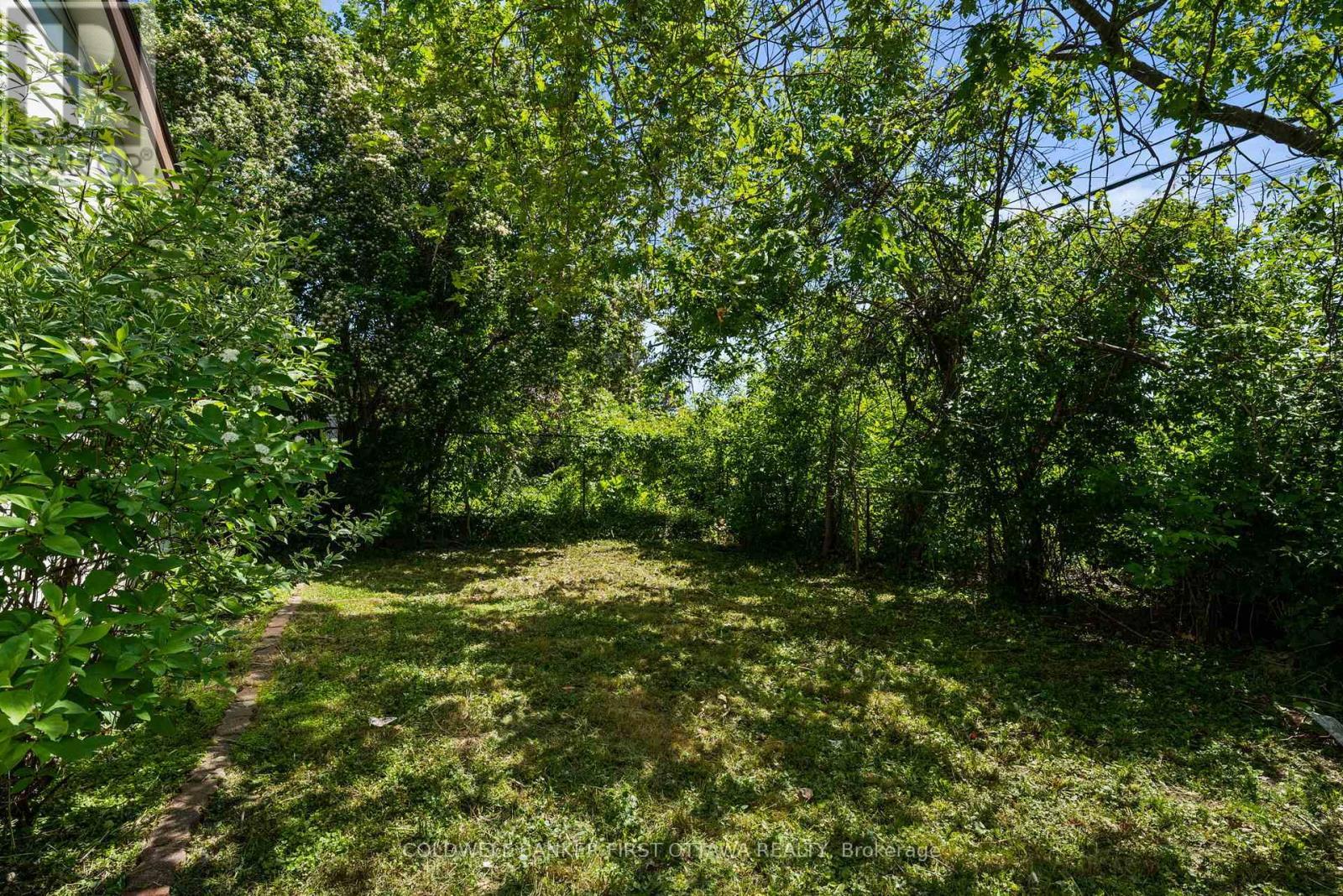 Tons of greenery & trees surrounding the home. - 1246 Kitchener Avenue, Ottawa, ON